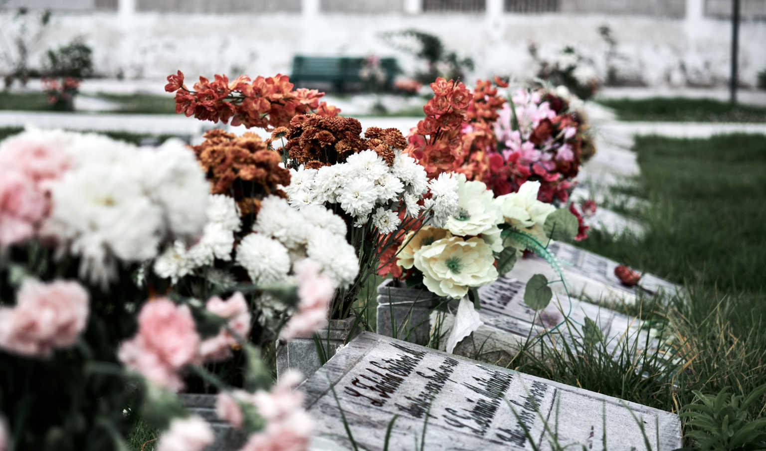 Фото могилы с цветами. Цветы на могилу. Цветы на могилу зимой. Цветы рядом с могилой. Белые цветы на могиле.
